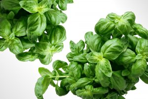 היתרונות הבריאותיים שיש באכילת עלים ירוקים